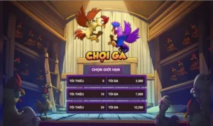 Đá Gà 3D Tại SumVip