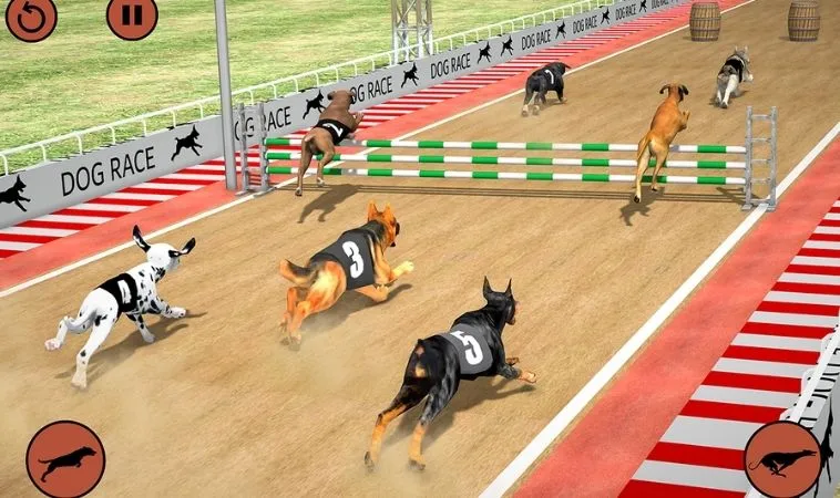 Cách Chơi Game Nhanh Đua Chó Tại SumVip - Bí Quyết Thắng Lớn 1 Đua Chó Tại SumVip