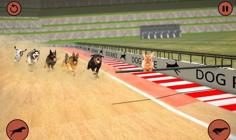 Cách Chơi Game Nhanh Đua Chó Tại SumVip - Bí Quyết Thắng Lớn 2 Cách chơi game nhanh Đua Chó Tại SumVip